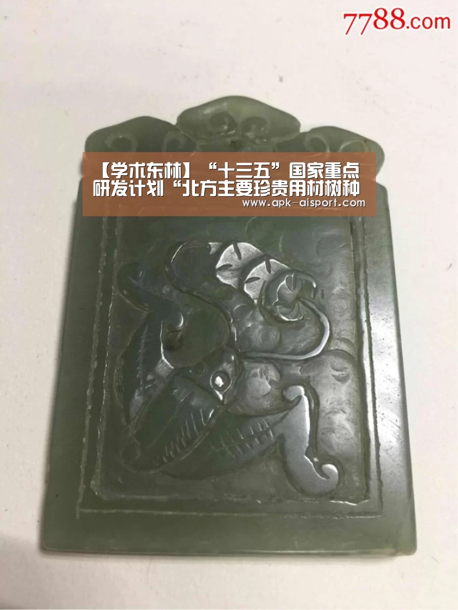 【学术东林】“十三五”国家重点研发计划“北方主要珍贵用材树种高效培育技术研究”项目启动【爱体育登录入口】(图4) 爱体育登录