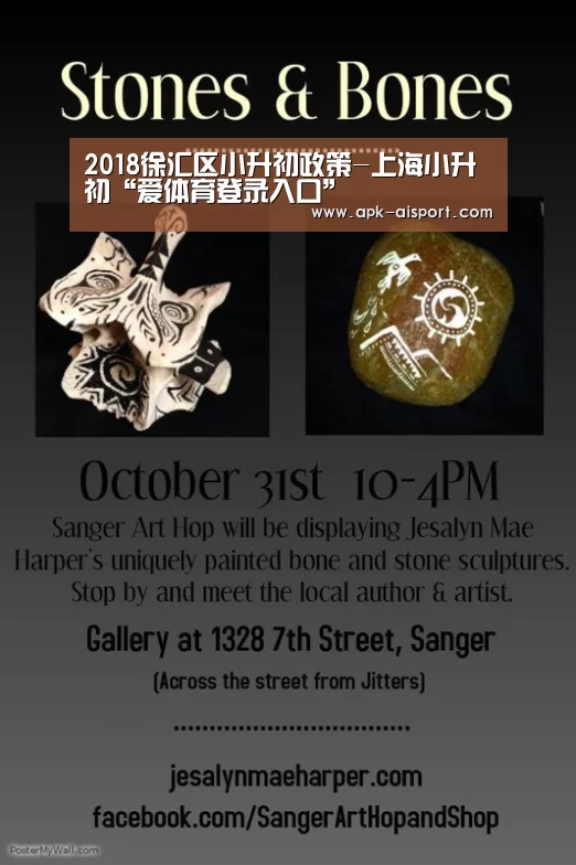 2018徐汇区小升初政策-上海小升初“爱体育登录入口”(图3) 爱体育登录